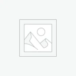 Memoria Ram Ballistix Roja 4GB 2400 MHz DDR4 (Usada sin caja)